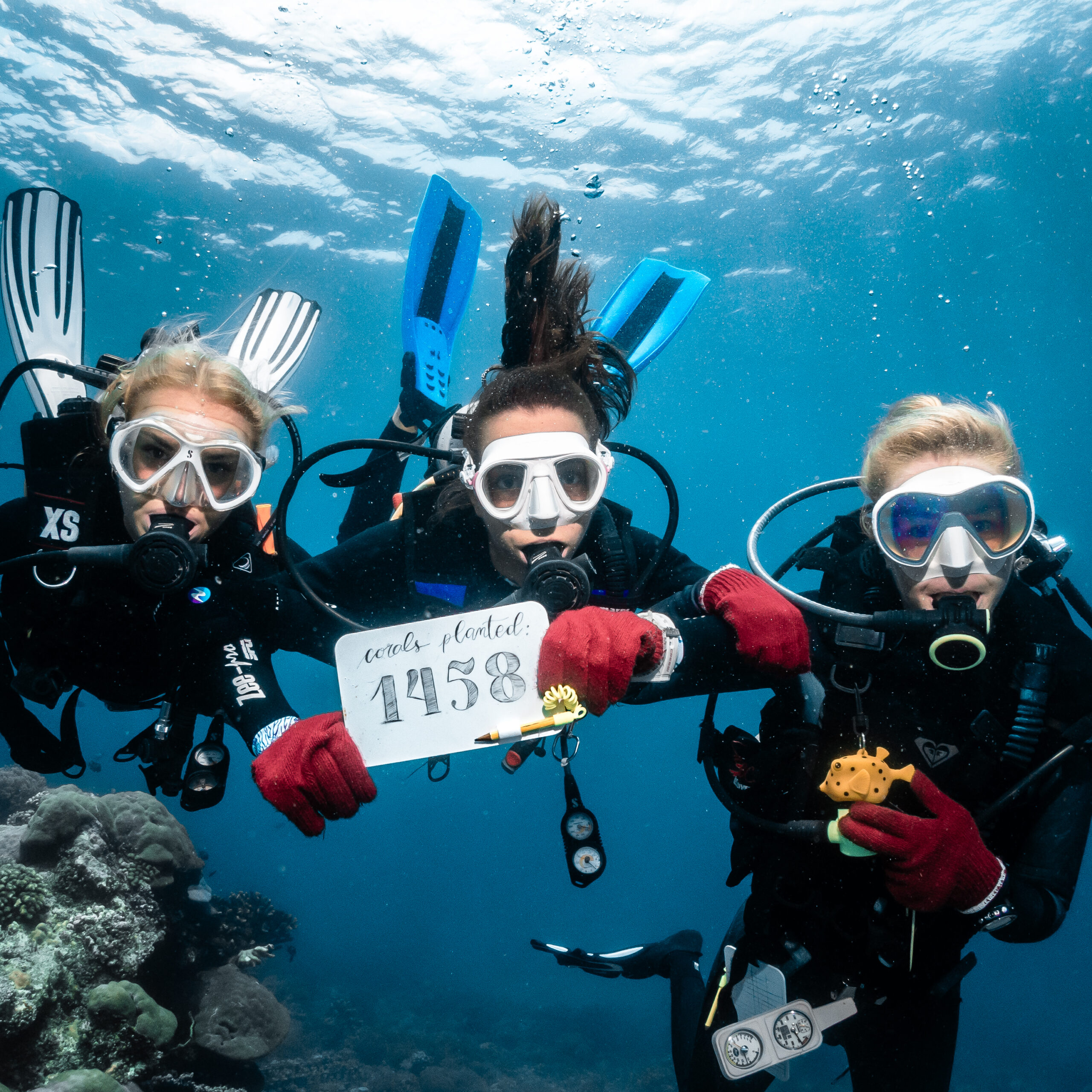 3 graduating participants of our GaiaOne Coral Restoration Course. During their 4 weeks course, they planted 1,458 corals in Indonesia