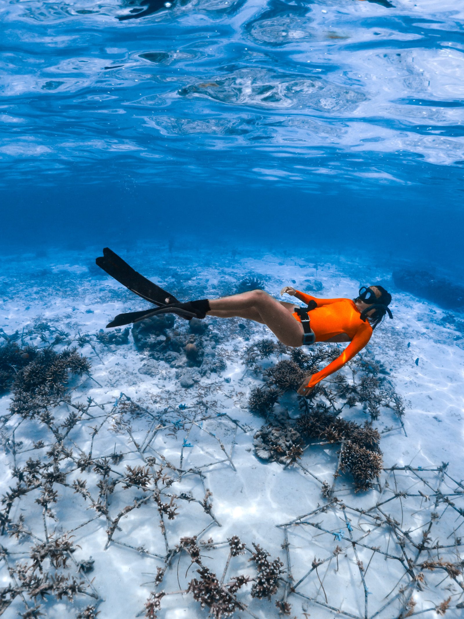 Freediver in an orange swimsuit swimming across our coral nursery