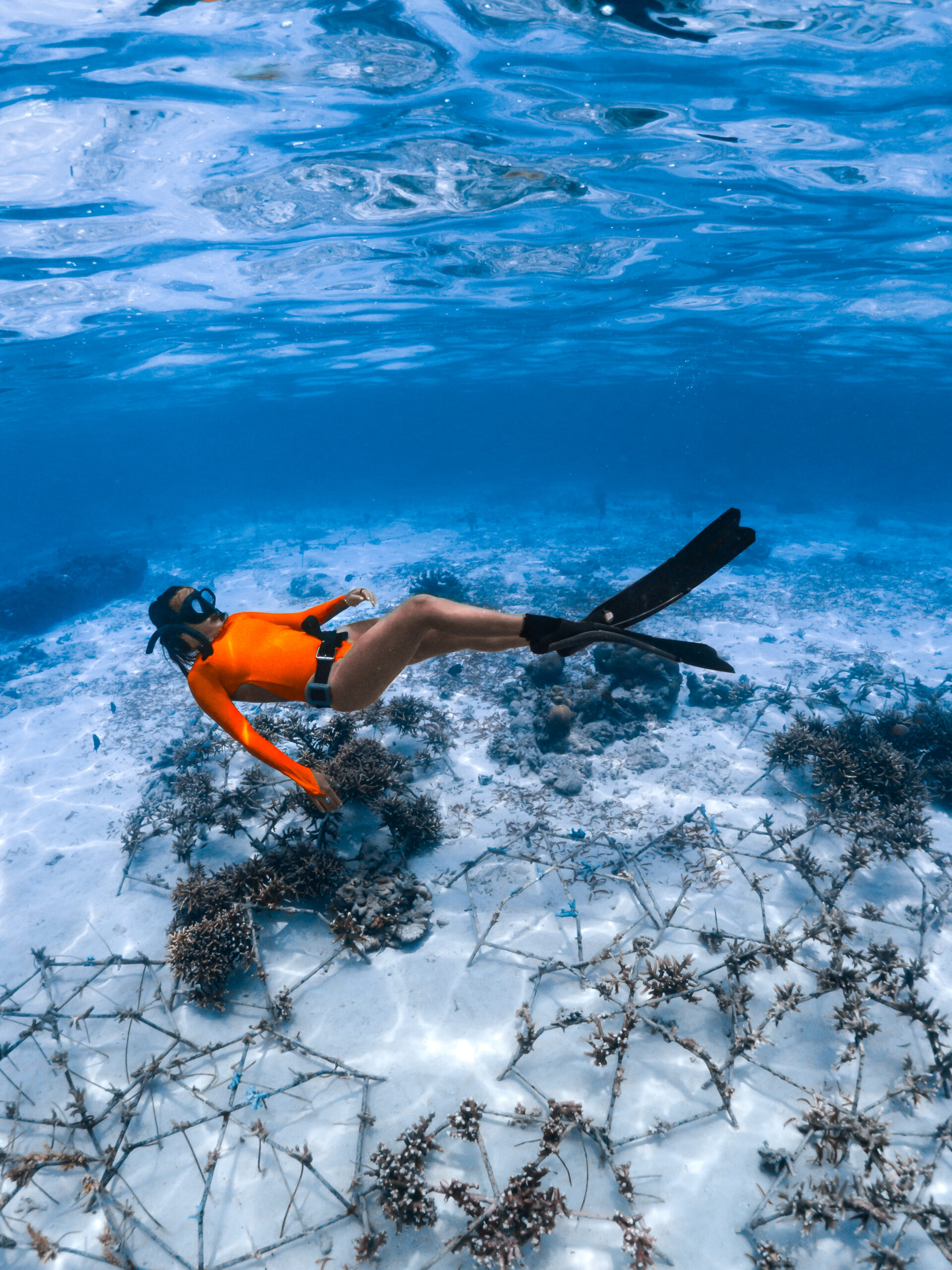 Freediver in an orange swimsuit swimming across our coral nursery