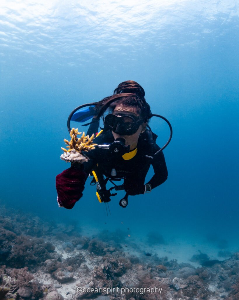 Coral gardener with 1 coral planted on a cement cookie