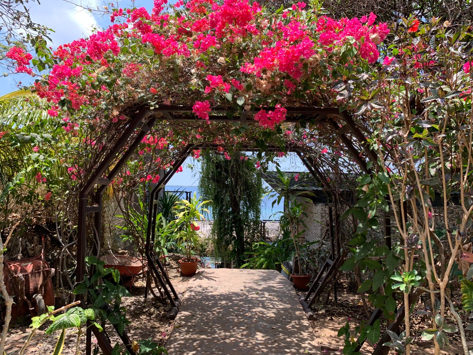 Flower arch in Tevana House Reef