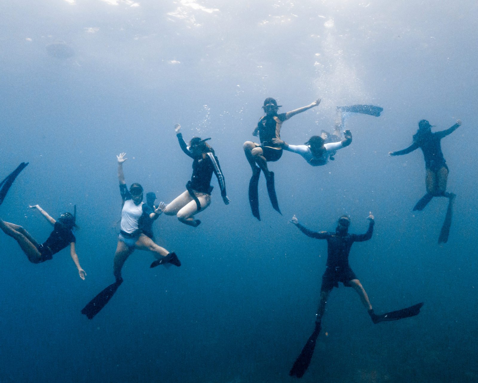 Freedivers underwarer during the FluidFocus Freediving Retreat