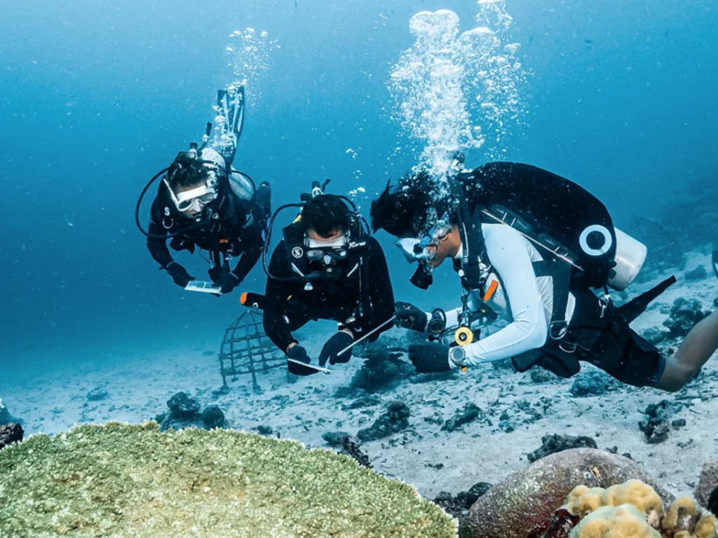 Students checking the dive book on an advanced diver course in Indonesia